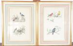 TRAVIES (d'après). Suite de huit lithographies en couleur "oiseaux". Cadre...