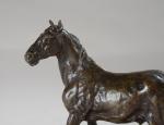 MENE Pierre-Jules (1810-1879). "Cheval Percheron", bronze à patine brune signé...