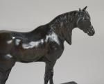 BARYE Antoine Louis (1795-1875). "Cheval de demi-sang", bronze à patine...