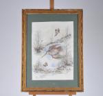 AMBRIERES (d'), Laure (20ème siècle). "Bécasses", aquarelle signée en bas...