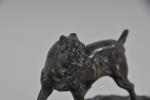 SUJET "bulldog" en bronze à patine brune nuancée. H. 8...