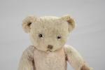 PELUCHE : ours, BE L 30 cm