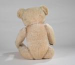 PELUCHE : ours, BE L 30 cm