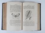 (ENTOMOLOGIE). BOISDUVAL. 
Essai sur l'entomologie horticole, comprenant l'histoire des insectes...