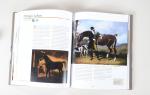 STUD-BOOK des peintres de chevaux. Biographie de 160 artistes.
Expert :...