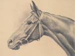 EFREMOFF (20ème siècle). "Tête de cheval", gravure en noir signée...