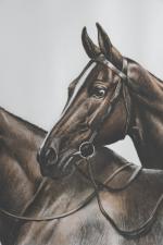 DANCHIN, Léon. Tête de chevaux. Lithographie, 39 x 54 cm