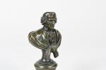 BUSTES (paire de petits) : "Voltaire" et "Rousseau". Bronzes patinés,...