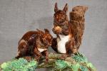 AMAURY (Léo) "Deux écureuils sur une branche", barbotine, l =...