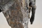 FAVRET (Christophe) "Le dromadaire", bronze à patine brune foncée, ...