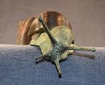 COUPOT (Pascal)  « L'escargot » bronze à patine verte et brune,...