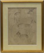 BOUROULT (Robert) "Etude de biches" dessin, sbd, 33x25,5, daté en...