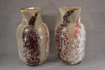 LEVEILLE (Ernest-Baptiste) (1841-1913) (attribué à) : paire de vases gravés...