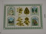 Collection de timbres de France neufs de 2001 à 2004...