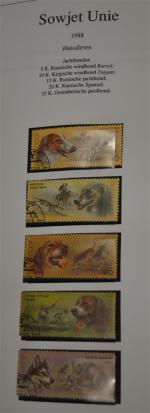 Très belle collection de timbres de Russie ** et OBL...