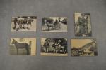 6 belles cartes postales anciennes sur le thème des ânes...