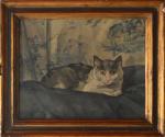 Jacques NAM (1881-1974)
Portrait d'un chat de Colette
Huile sur toile signée...