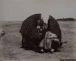 Algérie principalement Biskra, Bou Saâda 
Album de 68 photographies, c....