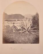 Ile Maurice - Réunion
Album de 33 photographies attribuées à Chambay...