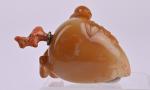 CHINE - XIXe siècle
Flacon tabatière en agate caramel sculptée en...