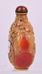 CHINE - XIXe siècle
Flacon tabatière ovale en bec de calao...