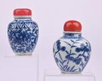 CHINE - XIXe siècle
Deux flacons tabatière en forme de pots...