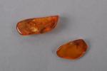 Deux pierres orange brut sur papier.
Poids 8,56 carats.
Expert : Paul-Louis...