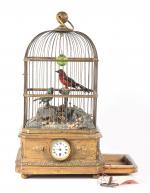 Bontemps
Grande cage à deux oiseaux chanteurs avec horloge et monnayeur....