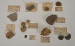 Collection de fossiles dans neuf petites boites 
avec étiquettes du...