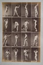 Etude de nus, c. 1880-85
17 planches. 
Chaque planche contient 16...