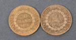 Deux pièces 20 Francs or Génie 1886.
Vendue sur désignation. Frais...