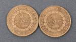 Deux pièces 20 Francs or Génie 1890.
Vendue sur désignation. Frais...