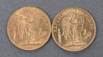 Deux pièces 20 Francs or Génie 1893.
Vendue sur désignation. Frais...