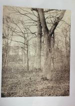 Rare et précieux album comprenant 29 photographies, c. 1860/1865
Reliure en...