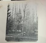 Rare et précieux album comprenant 29 photographies, c. 1860/1865
Reliure en...