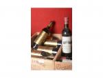 12 bouteilles de vin, Château Canon St Emilion, Premier Grand...