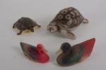 SNF et Petitcollin, deux tortues
et deux canards.