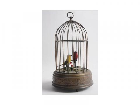 Le Triste Sort Des Oiseaux Du Vietnam Les Voyages De Seth