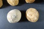 ARCHEOLOGIE / PREHISTOIRE - Ensemble de 10 fossiles d'oursins du...