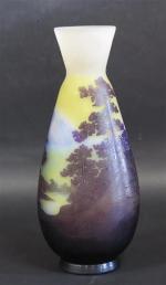 Etablissement GALLE (1904-1936) : Vase piriforme sur talon et col...