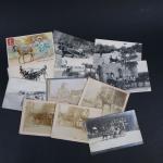 THEMATIQUES - ATTELAGE D'ANES :
Lot de 12 cartes postales dont...