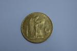 Pièce en or de 100 francs 1879 - 32,2 g