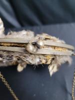 Ancien sac à main en plumes avec chaînette, 26 cm...