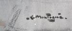 Louis Agricol MONTAGNE (1879-1960)
Intérieur avignonnais
Aquarelle signée en bas à droite
63.5...