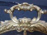 Pare-étincelle médaillon de style Louis XVI en bronze doré à...