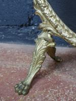 Pare-étincelle médaillon de style Louis XVI en bronze doré à...