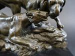 Couple de lion et lionne en bronze patiné, sur socle...