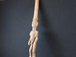 AFRIQUE. Grand bâton de rituel en bois sculpté à décor...