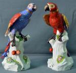 MEISSEN
Deux perroquets en porcelaine polychrome
XIXème siècle (accidents et restauration)