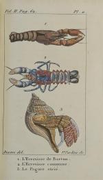 BOSC. Histoire naturelle des crustacés, contenant leur description et leurs...